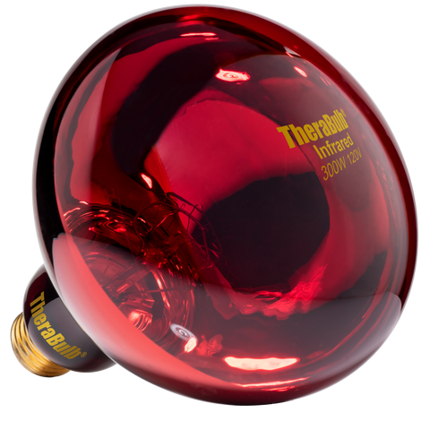 Near Infrared Bulb - 300 Watt (120V for North America)