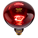 Near Infrared Bulb - 300 Watt (120V for North America)