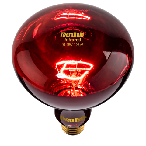 Near Infrared Bulb - 300 Watt (120V for North America)