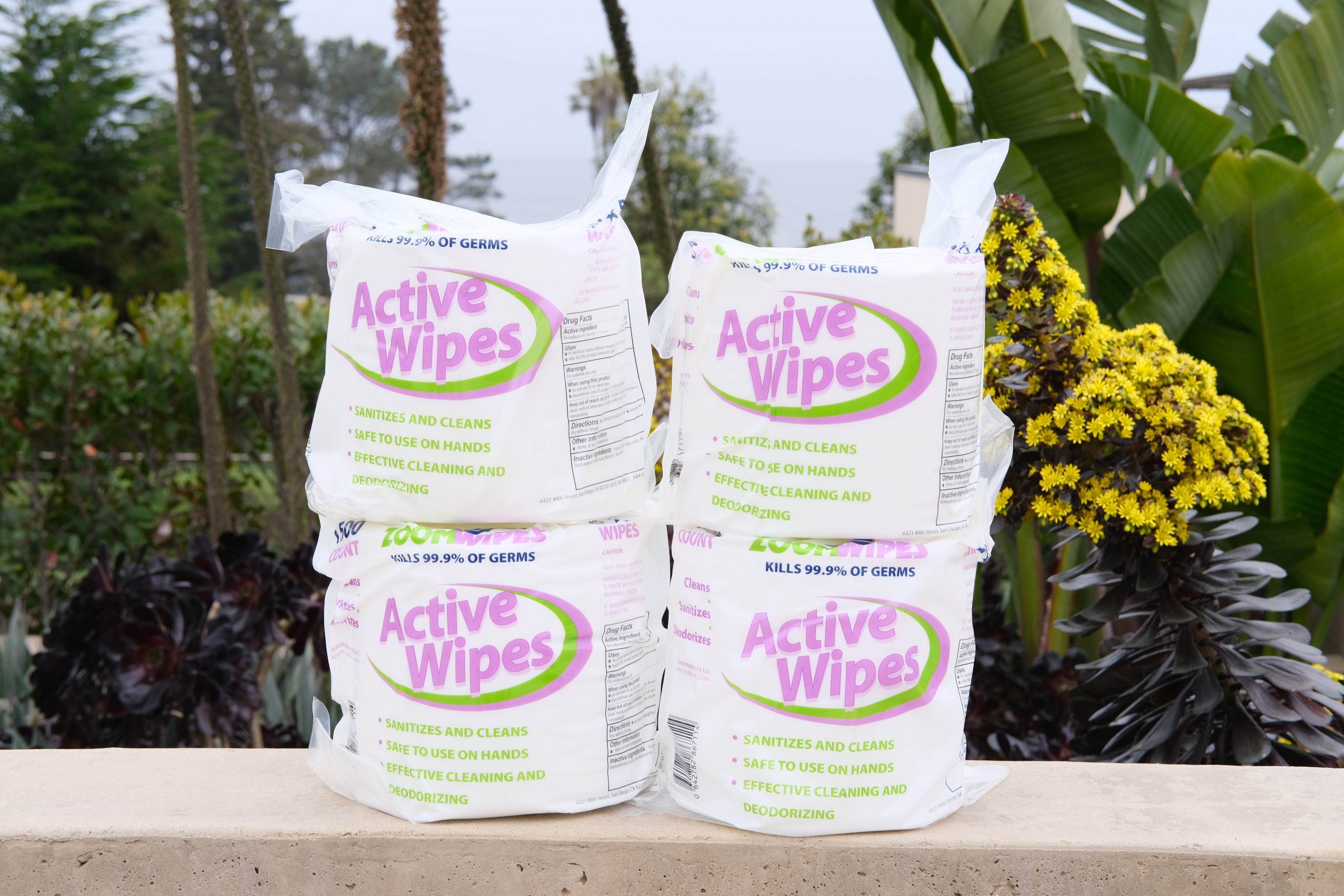 Quick Sanitizing "Active" Wipes Case - 88PRINTERS.COM